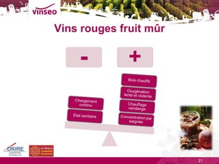 Vins rouges fruit mûr 