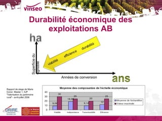 Durabilité économique des exploitations AB Rapport de stage de Marie Conor, Master 1, IUP "Valorisation du partimoine rural" - avril-juillet 2006  Superficie du vignoble Années de conversion 