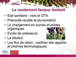 Le rendement facteur limitant Etat sanitaire : vers et OTA Précocité récolte et pluviométrie Le chargement en sucres et acides organiques Excès de potassium La dilution. Les flux de raisin : maîtrise des apports et chaînes technologiques 