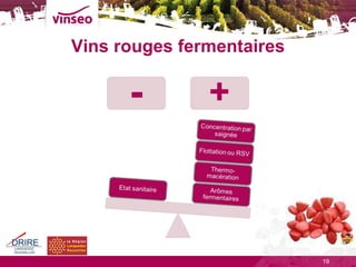 Vins rouges fermentaires 