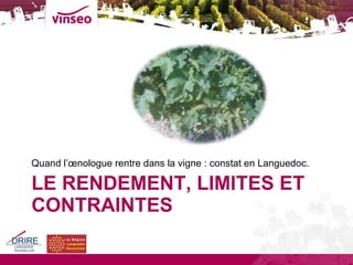 LE RENDEMENT, LIMITES ET CONTRAINTES <ul><li>Quand l’œnologue rentre dans la vigne : constat en Languedoc. </li></ul>