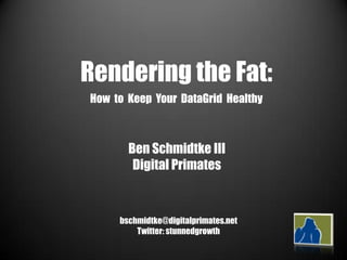 Rendering the Fat: How  to  Keep  Your  DataGrid  Healthy Ben Schmidtke III Digital Primates bschmidtke@digitalprimates.net Twitter: stunnedgrowth 