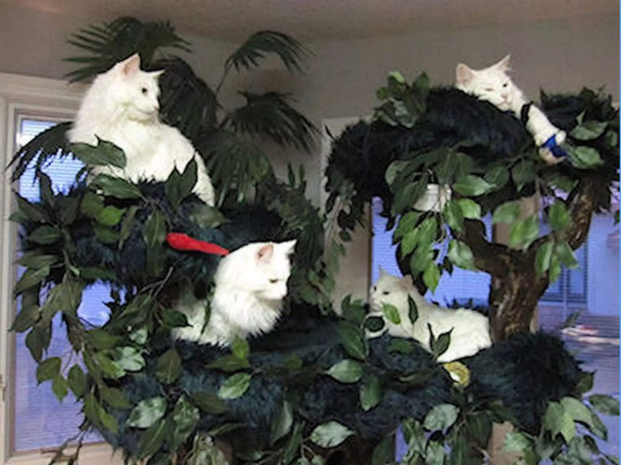 NEW CHAPTER
[DELETE THIS]: Chapter name should be ALL CAPS
Please think twice before adding a chapter slide,
most chances you won’t need it.
 