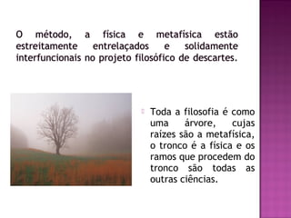 

Toda a filosofia é como
uma
árvore,
cujas
raízes são a metafísica,
o tronco é a física e os
ramos que procedem do
tronco são todas as
outras ciências.

 