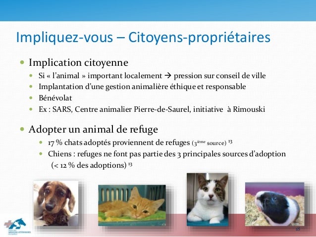 Rendez Vous Citoyens Le Défi Des Animaux En Milieu Urbain