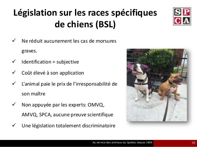 Rendez Vous Citoyens Le Défi Des Animaux En Milieu Urbain