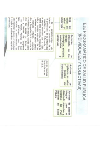 Rendicion de cuentas 2010