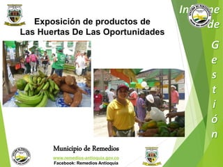 Exposición de productos de 
Las Huertas De Las Oportunidades 
Municipio de Remedios 
www.remedios-antioquia.gov.co 
Facebook: Remedios Antioquia 
 