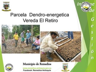 Parcela Dendro-energetica 
Vereda El Retiro 
Municipio de Remedios 
www.remedios-antioquia.gov.co 
Facebook: Remedios Antioquia 
 