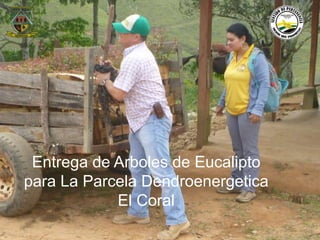 Entrega de Arboles de Eucalipto 
para La Parcela Dendroenergetica 
El Coral 
Municipio de Remedios 
www.remedios-antioquia.gov.co 
Facebook: Remedios Antioquia 
 