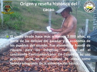 Origen y reseña histórica del 
cacao 
 El cacao desde hace más o menos 2.000 años, es 
parte de las delicias del paladar y la economía de 
los pueblos del mundo. Fue alimento y fuente de 
riqueza para los indígenas radicados en el 
continente Centroamericano. En Colombia su uso 
principal está en el chocolate de mesa como 
bebida integrante de la alimentación básica. 
Municipio de Remedios 
www.remedios-antioquia.gov.co 
Facebook: Remedios Antioquia 
 