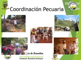 Coordinación Pecuaria 
Municipio de Remedios 
www.remedios-antioquia.gov.co 
Facebook: Remedios Antioquia 
 