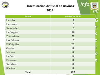 Inseminación Artificial en Bovinos 
2014 
Vereda Número de Vacas 
La ceiba 9 
La cruzada 5 
Santa Isabel 6 
La Gorgona 18 
Zona urbana 32 
Las Palomas 3 
El Chiquillo 25 
Ocasito 19 
Martaná 11 
La Cruz 14 
Platanales 19 
San Mateo 17 
Bóminas 19 
Municipio de Remedios 
www.remedios-antioquia.gov.co 
Facebook: Remedios Antioquia 
Total 197 
 