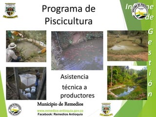 Programa de 
Piscicultura 
Asistencia 
técnica a 
productores 
Municipio de Remedios 
www.remedios-antioquia.gov.co 
Facebook: Remedios Antioquia 
 