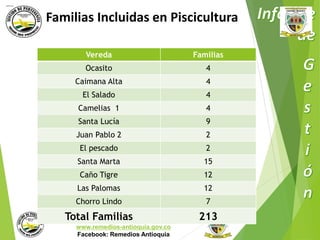 Familias Incluidas en Piscicultura 
Vereda Familias 
Ocasito 4 
Caimana Alta 4 
El Salado 4 
Camelias 1 4 
Santa Lucía 9 
Juan Pablo 2 2 
El pescado 2 
Santa Marta 15 
Caño Tigre 12 
Las Palomas 12 
Chorro Lindo 7 
Municipio de Remedios 
www.remedios-antioquia.gov.co 
Facebook: Remedios Antioquia 
Total Familias 213 
 