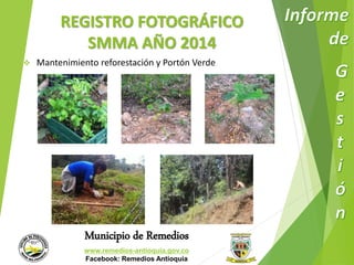REGISTRO FOTOGRÁFICO 
SMMA AÑO 2014 
 Mantenimiento reforestación y Portón Verde 
Municipio de Remedios 
www.remedios-antioquia.gov.co 
Facebook: Remedios Antioquia 
 
