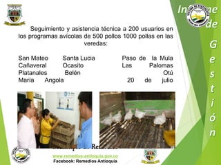 Seguimiento y asistencia técnica a 200 usuarios en 
los programas avícolas de 500 pollos 1000 pollas en las 
veredas: 
San Mateo Santa Lucia Paso de la Mula 
Cañaveral Ocasito Las Palomas 
Platanales Belén Otú 
María Angola 20 de julio 
Municipio de Remedios 
www.remedios-antioquia.gov.co 
Facebook: Remedios Antioquia 
 