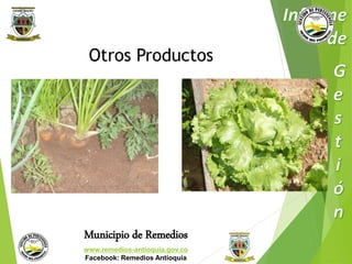 Otros Productos 
Municipio de Remedios 
www.remedios-antioquia.gov.co 
Facebook: Remedios Antioquia 
 