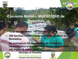 Convenio MANÁ – Municipio de 
Remedios 
 Total beneficiados: 100 familias. 
 100 familias beneficiadas convenio Alcaldía de 
Remedios. 
 Se entregaron kit de semillas de hortalizas, 
insumos para la huerta como bultos de gallinaza, 
cal, triple 15, entre otros. 
Municipio de Remedios 
www.remedios-antioquia.gov.co 
Facebook: Remedios Antioquia 
 