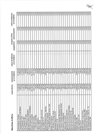 Federazione dei Verdi Rendiconto 2016