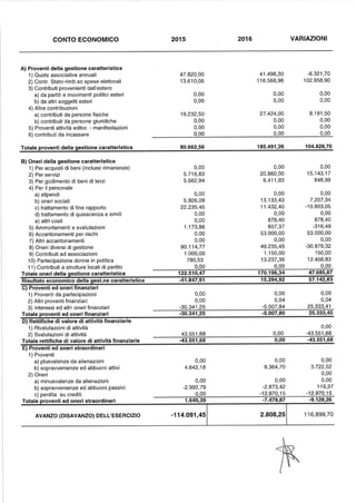 Federazione dei Verdi Rendiconto 2016
