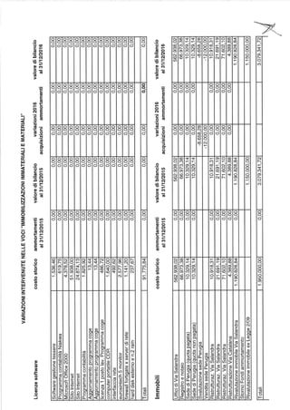 Federazione dei Verdi Rendiconto 2016