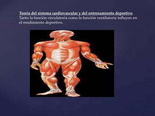 Teoría del sistema cardiovascular y del entrenamiento deportivo.
Tanto la función circulatoria como la función ventilatoria influyen en
el rendimiento deportivo.
 