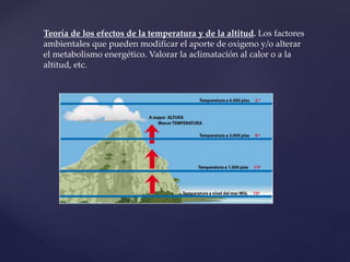 Teoría de los efectos de la temperatura y de la altitud. Los factores
ambientales que pueden modificar el aporte de oxigeno y/o alterar
el metabolismo energético. Valorar la aclimatación al calor o a la
altitud, etc.
 