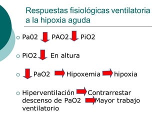 Respuestas fisiológicas ventilatoria
a la hipoxia aguda
 Pa02 PAO2 PiO2
 PiO2 En altura
 PaO2 Hipoxemia hipoxia
 Hiperventilación Contrarrestar
descenso de PaO2 Mayor trabajo
ventilatorio
 