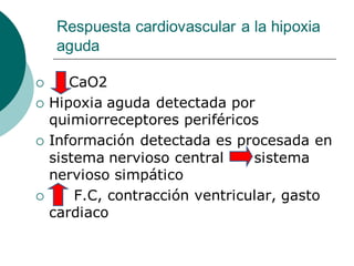 Respuesta cardiovascular a la hipoxia
aguda
 CaO2
 Hipoxia aguda detectada por
quimiorreceptores periféricos
 Información detectada es procesada en
sistema nervioso central sistema
nervioso simpático
 F.C, contracción ventricular, gasto
cardiaco
 