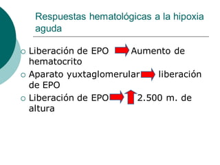 Respuestas hematológicas a la hipoxia
aguda
 Liberación de EPO Aumento de
hematocrito
 Aparato yuxtaglomerular liberación
de EPO
 Liberación de EPO 2.500 m. de
altura
 