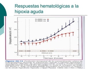 Respuestas hematológicas a la
hipoxia aguda
 