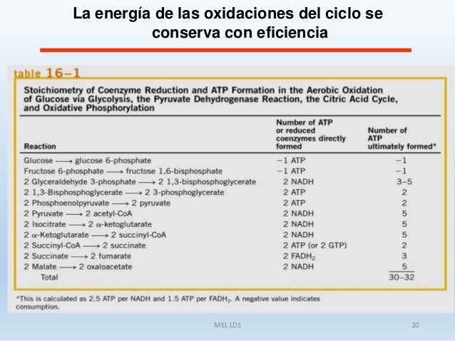 CARBOHIDRATOS 5: Rendimiento energético de la oxidación de la glucosa