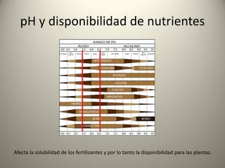 pH y disponibilidad de nutrientes
Afecta la solubilidad de los fertilizantes y por lo tanto la disponibilidad para las plantas.
 