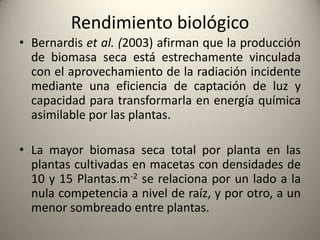 Rendimiento biológico
• Bernardis et al. (2003) afirman que la producción
de biomasa seca está estrechamente vinculada
con el aprovechamiento de la radiación incidente
mediante una eficiencia de captación de luz y
capacidad para transformarla en energía química
asimilable por las plantas.
• La mayor biomasa seca total por planta en las
plantas cultivadas en macetas con densidades de
10 y 15 Plantas.m-2 se relaciona por un lado a la
nula competencia a nivel de raíz, y por otro, a un
menor sombreado entre plantas.
 