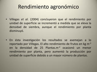 Rendimiento agronómico
• Villegas et al. (2004) concluyeron que el rendimiento por
unidad de superficie se incrementó a medida que se eleva la
densidad de siembra, aunque el rendimiento por planta
disminuyó.
• En ésta investigación los resultados se asemejan a lo
reportado por Villegas. El alto rendimiento de frutos en kg m-2
en la densidad de 25 Plantas.m-2 ocasionó un menor
rendimiento por planta, pero aumentó la producción por
unidad de superficie debido a un mayor número de plantas.
 