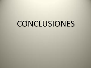 CONCLUSIONES
 
