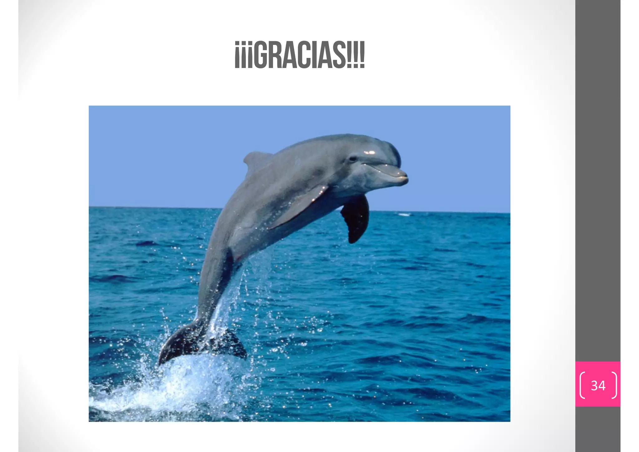 ¡¡¡GRACIAS!!!




                34
 