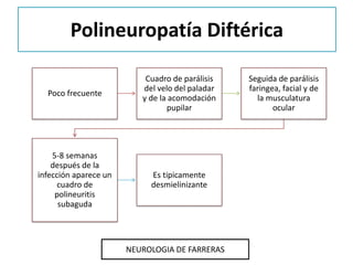 Polineuropatía Diftérica
Poco frecuente
Cuadro de parálisis
del velo del paladar
y de la acomodación
pupilar
Seguida de pa...