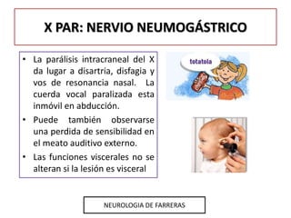 • La parálisis intracraneal del X
da lugar a disartria, disfagia y
vos de resonancia nasal. La
cuerda vocal paralizada est...