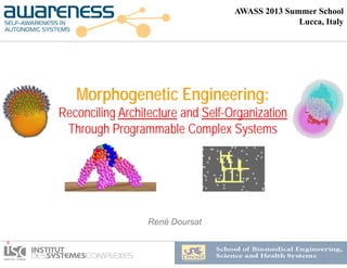 Morphogenetic Engineering:
Reconciling Architecture and Self-Organization
Through Programmable Complex Systems
BMES Seminar – April 18, 2013
René Doursat
AWASS 2013 Summer School
Lucca, Italy
 