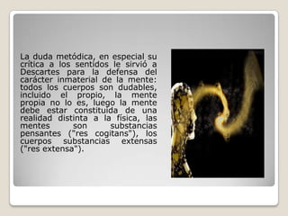 La duda metódica, en especial su
crítica a los sentidos le sirvió a
Descartes para la defensa del
carácter inmaterial de la mente:
todos los cuerpos son dudables,
incluido el propio, la mente
propia no lo es, luego la mente
debe estar constituida de una
realidad distinta a la física, las
mentes son substancias
pensantes ("res cogitans"), los
cuerpos substancias extensas
("res extensa").
 