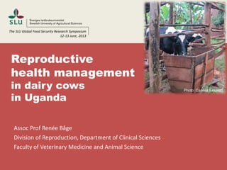 Assoc Prof Renée Båge
Division of Reproduction, Department of Clinical Sciences
Faculty of Veterinary Medicine and Animal Science
Reproductive
health management
in dairy cows
in Uganda
Photo: Camilla Eklundh
The SLU Global Food Security Research Symposium
12-13 June, 2013
 
