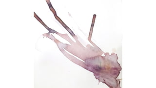 ABOUT
OUR
SERVICES
W R I T E H E R E S O M E T H I N G
 