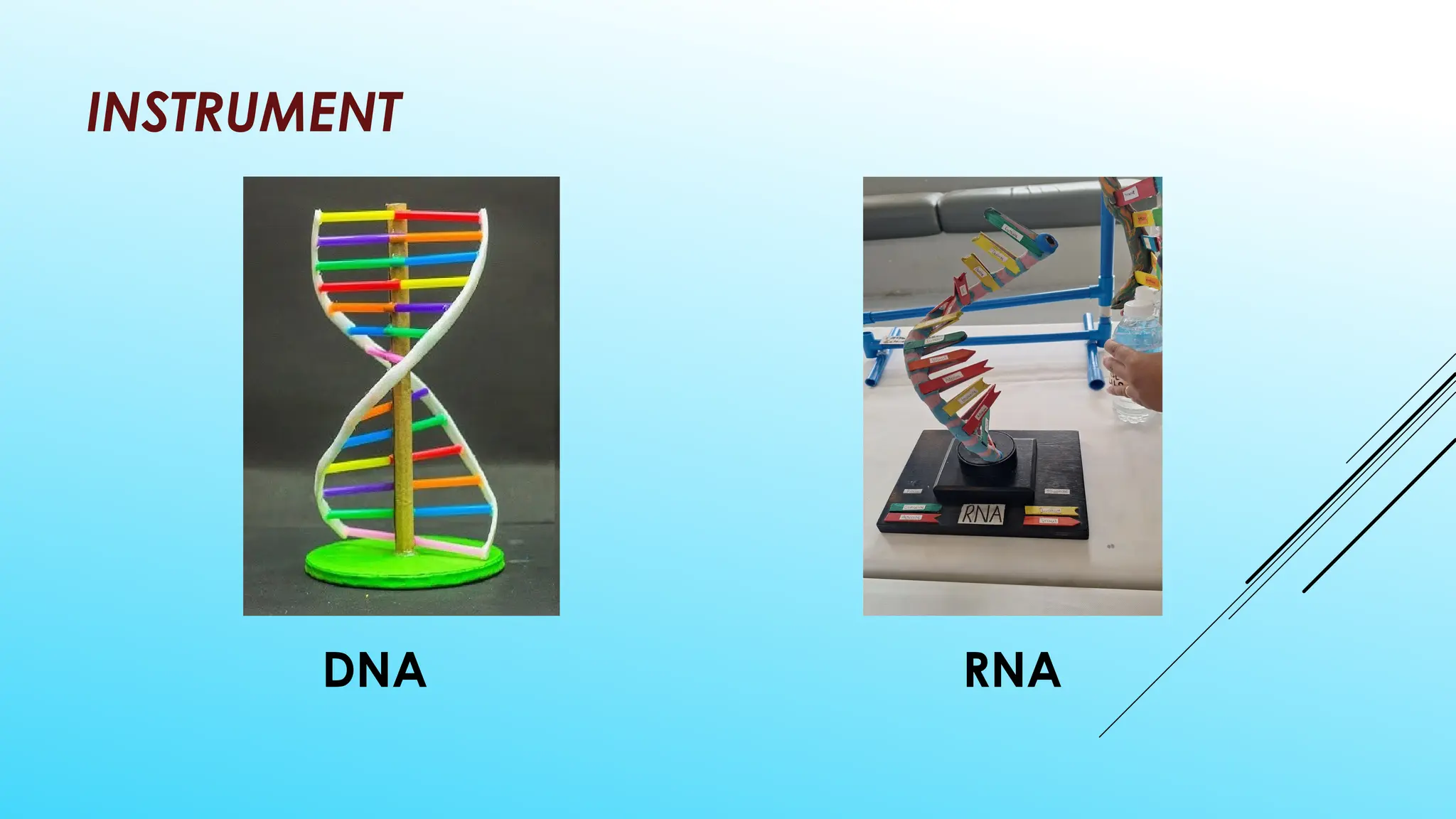 INSTRUMENT
DNA RNA
 