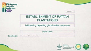 ESTABLISHMENT OF RATTAN
PLANTATIONS
Addressing depleting global rattan resources
RENE KAAM
Co-author(s): Muralidharan E.M, Sreekumar V.B.
23/06/21
 