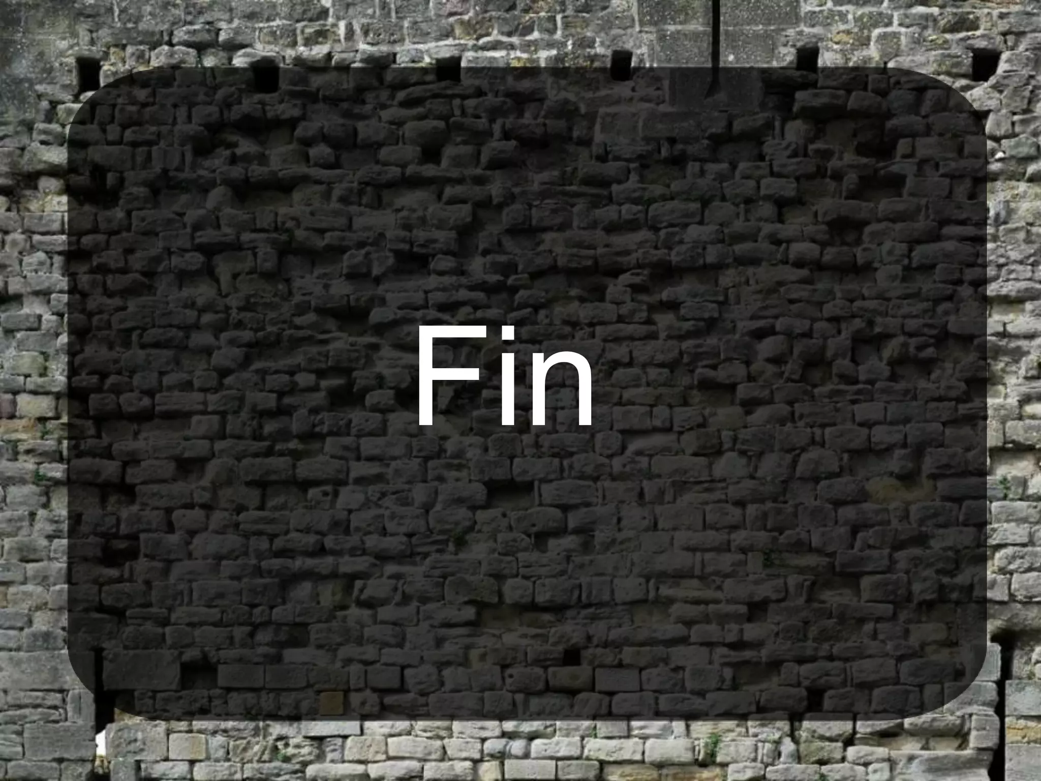 Fin
