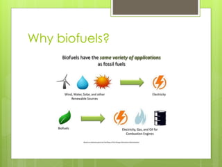Why biofuels?
 