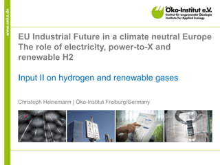 www.oeko.de
EU Industrial Future in a climate neutral Europe
The role of electricity, power-to-X and
renewable H2
Input II on hydrogen and renewable gases
Christoph Heinemann | Öko-Institut Freiburg/Germany
 