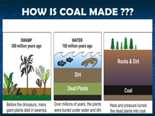 HOW IS COAL MADE ??? 